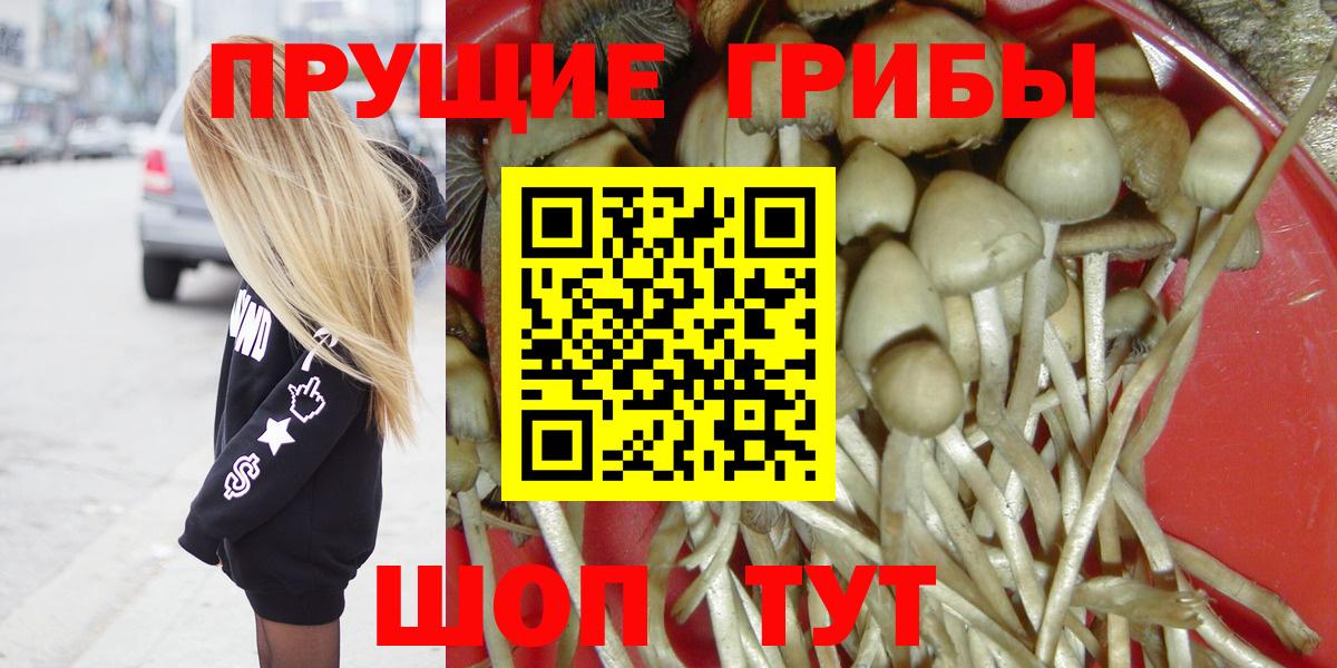 Клин  Псилоцибиновые грибы Psilocybine cubensis  Вход с VPN 